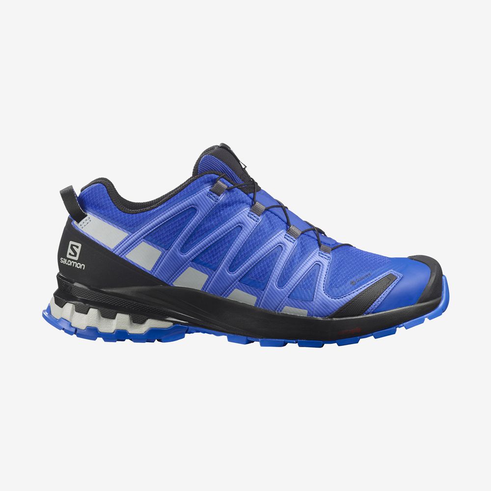 Chaussures De Trail Running Salomon Homme Bleu - Salomon XA PRO 3D V8 GORE-TEX - France (3542-LNPHQ)